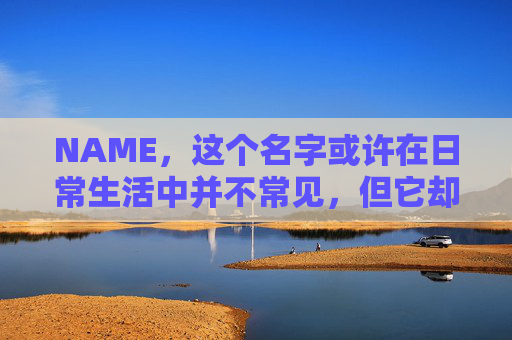 NAME,这个名字或许在日常生活中并不常见,但它却在某些领域里扮演着重要的角色。今天,让我们一起来探索这个名字背后的故事和意义